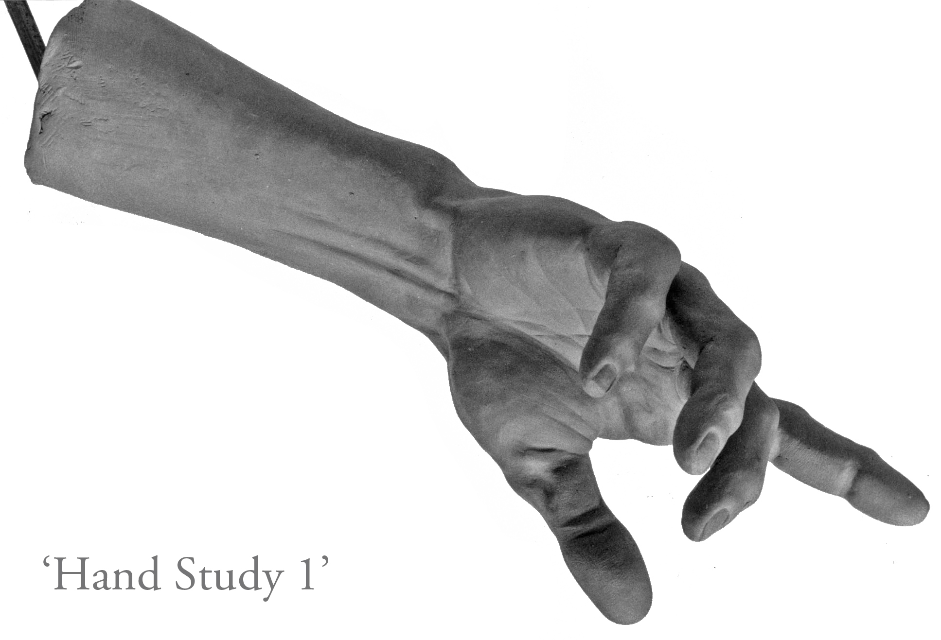 Hand Study 1